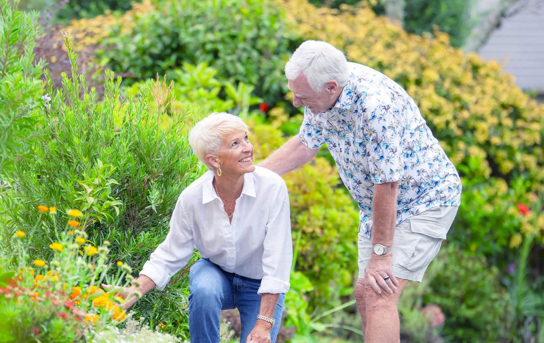 fairview lifestyle retirement villages auckland autumn wellness blog 3